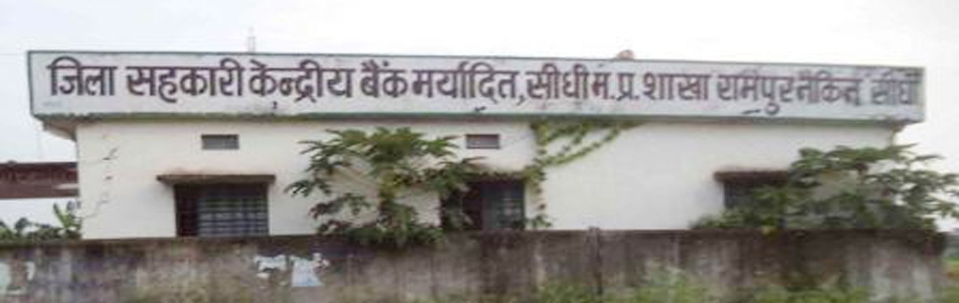 Nagar Parishad Rampur Naikin